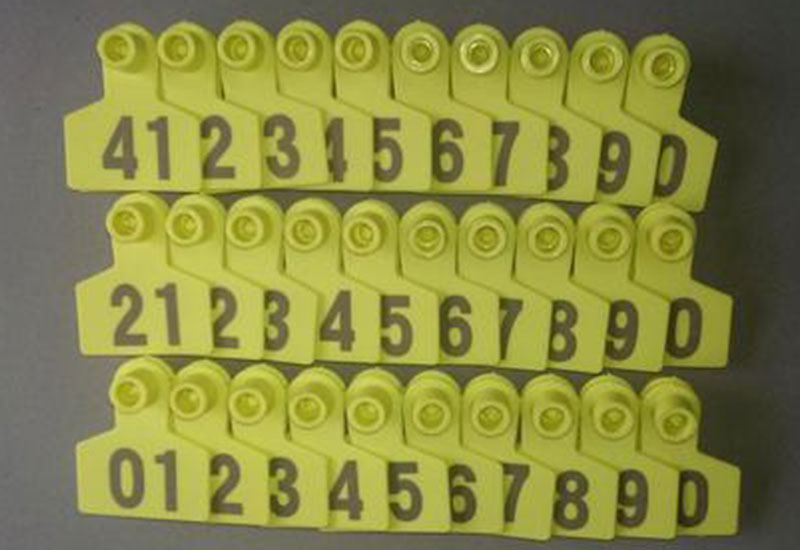 Laser-Marking-Machine-for-Ear-Tags-1 Laser-Marking-Machine-for-Ear-Tags-1