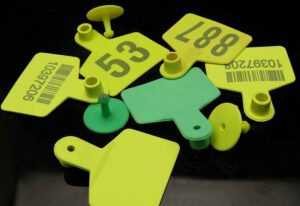 Laser-Marking-Machine-for-Ear-Tags-3