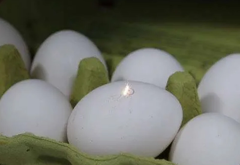 UV-Laser-Marker-Machine-for-Egg-4 UV-Laser-Marker-Machine-for-Egg-4