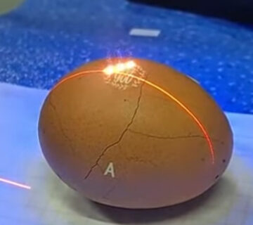 Máquina marcadora láser UV para huevos 1 Marcador láser UV para huevo 8