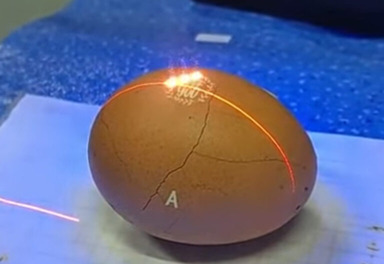 UV-Laser-Marker-Machine-for-Egg-8