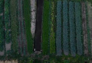 Fiber-Laser-Cutting-Machine-for-Agricultural-Machinery-Parts-2