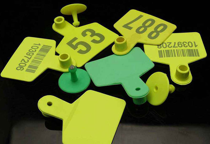 Kulak Etiketleri için Lazer İşaretleme Makinesi-3